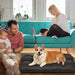 🐶 Cama para Cães Grandes e Médios - Lavável - PetDoctors - Loja Online