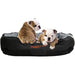 Cama para cães médios e grandes, anti - stress, lavável - PetDoctors - Loja Online