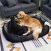 Cama para cães médios e grandes, anti - stress, lavável - PetDoctors - Loja Online