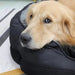 Cama para cães médios e grandes, anti - stress, lavável - PetDoctors - Loja Online