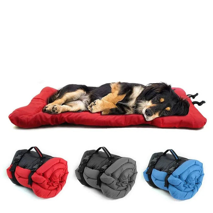 Cama Portátil para Cães ou Gatos - PetDoctors - Loja Online