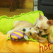 Cama Quentinha "Hot - Dog" / "Cachorro Quente" em dois tamanhos - PetDoctors - Loja Online