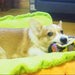 Cama Quentinha "Hot - Dog" / "Cachorro Quente" em dois tamanhos - PetDoctors - Loja Online