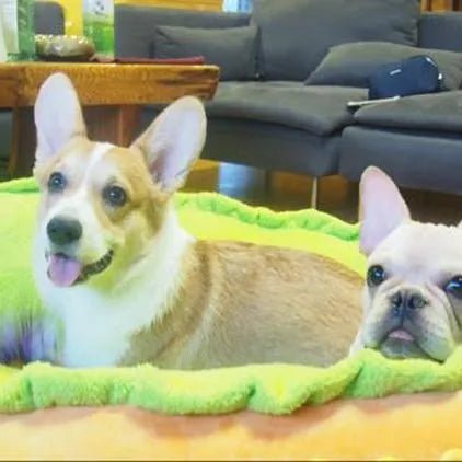 Cama Quentinha "Hot - Dog" / "Cachorro Quente" em dois tamanhos - PetDoctors - Loja Online