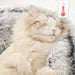 Cama Redonda com Cobertura, Super - Macia, Quentinha, Calmante e Envolvente, para Gatos ou Cães de Raças Pequenas - PetDoctors - Loja Online