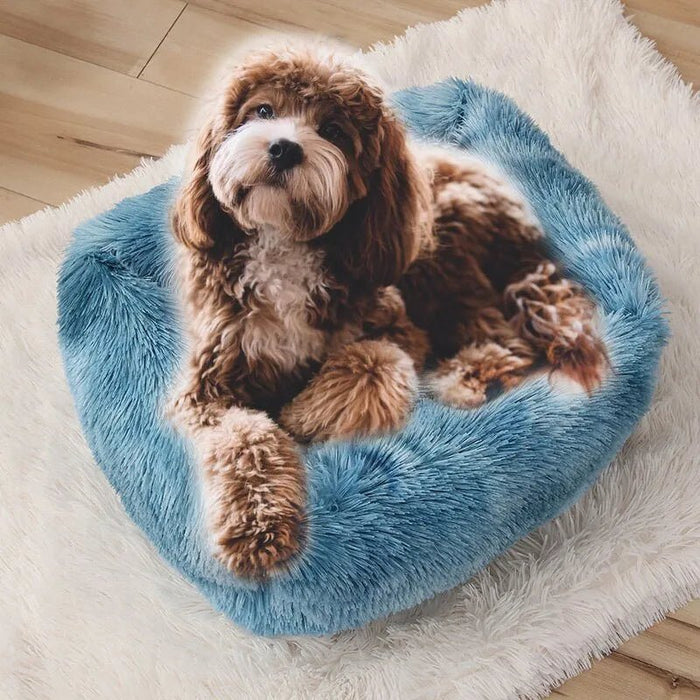 Cama Retangular Super - Fôfa e Macia para Cães de Raças Pequenas e Médias - PetDoctors - Loja Online