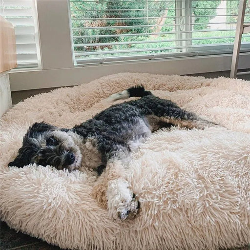 Cama Super - Macia, Ergonómica, Calmante e Quente para Cães ou Gatos (40 a 100 centímetros - 17 CÔRES) - PetDoctors - Loja Online