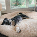 Cama Super - Macia, Ergonómica, Calmante e Quente para Cães ou Gatos (40 a 100 centímetros - 17 CÔRES) - PetDoctors - Loja Online