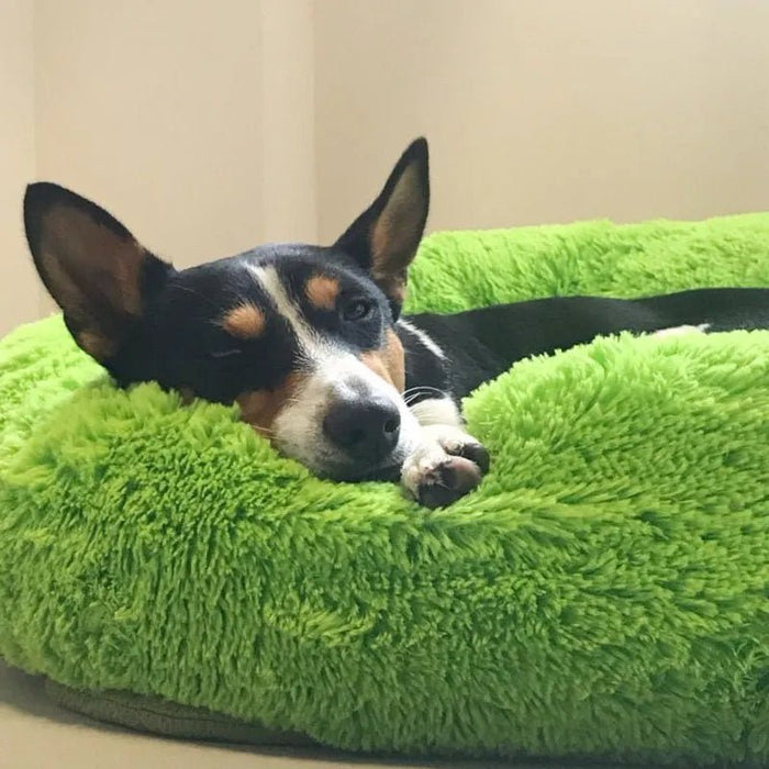Cama Super - Macia, Ergonómica, Calmante e Quente para Cães ou Gatos (40 a 100 centímetros - 17 CÔRES) - PetDoctors - Loja Online