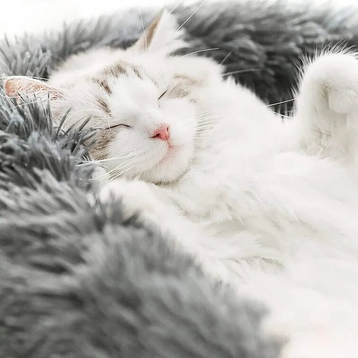Cama Super - Macia, Ergonómica, Calmante e Quente para Cães ou Gatos (40 a 100 centímetros - 17 CÔRES) - PetDoctors - Loja Online
