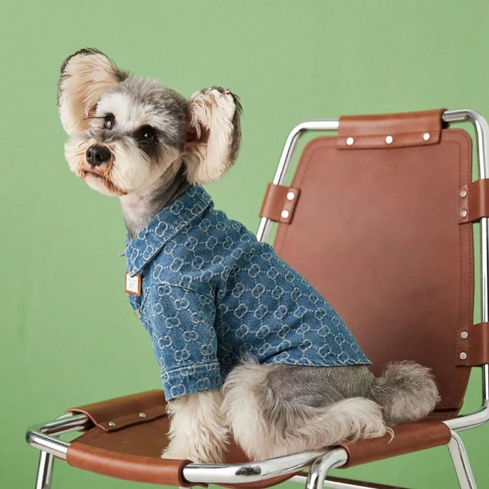 Camisa / Casaco "Designer" para Cães Pequenos e Médios - PetDoctors - Loja Online
