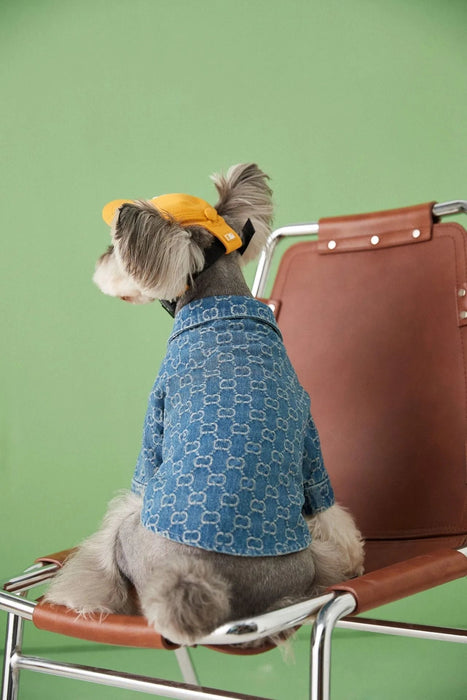 Camisa / Casaco "Designer" para Cães Pequenos e Médios - PetDoctors - Loja Online
