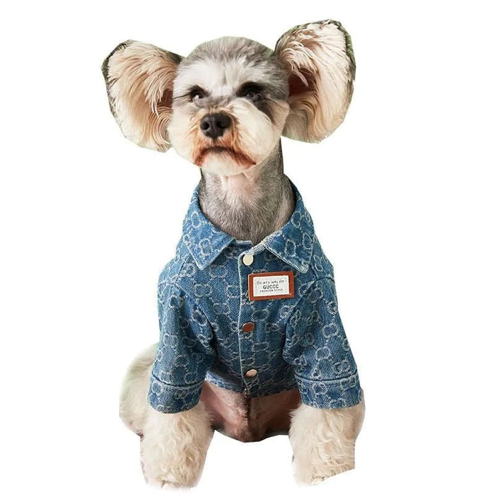 Camisa / Casaco "Designer" para Cães Pequenos e Médios - PetDoctors - Loja Online