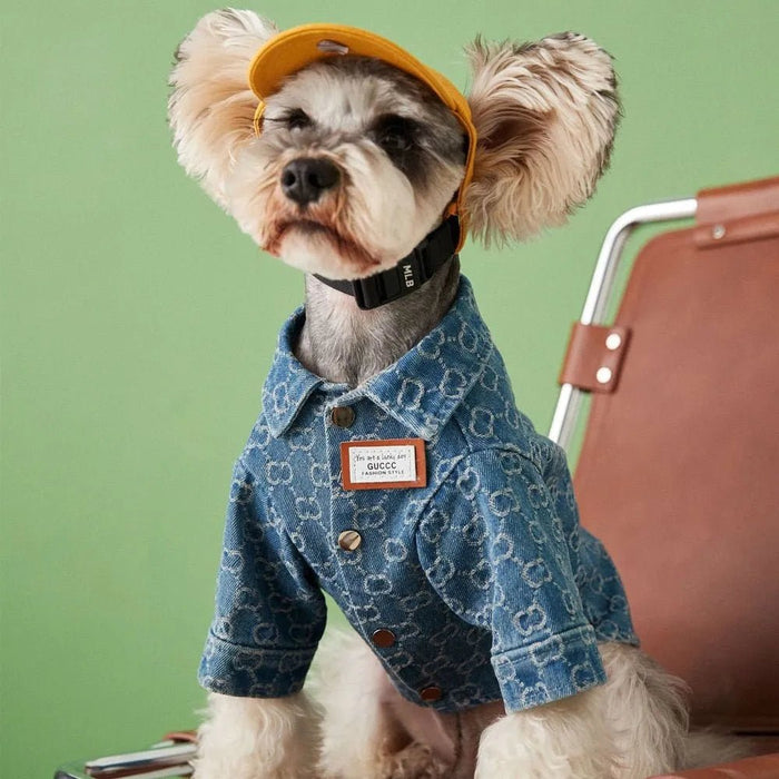 Camisa / Casaco "Designer" para Cães Pequenos e Médios - PetDoctors - Loja Online