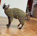 Camisola, com manga e sem manga, para gato Sphynx - PetDoctors - Loja Online