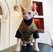 Camisola, com manga e sem manga, para gato Sphynx - PetDoctors - Loja Online