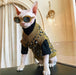 Camisola, com manga e sem manga, para gato Sphynx - PetDoctors - Loja Online