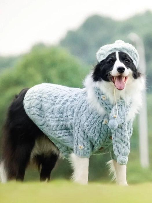 Camisola de Lã e Gorro com Cachecol para Cães (Outono / Inverno) - PetDoctors - Loja Online