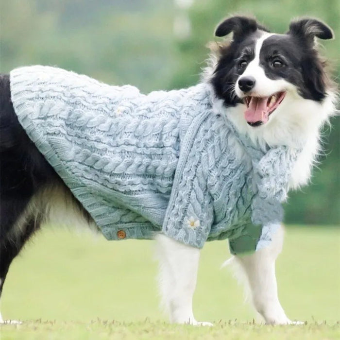 Camisola de Lã e Gorro com Cachecol para Cães (Outono / Inverno) - PetDoctors - Loja Online