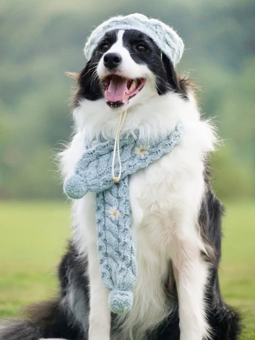 Camisola de Lã e Gorro com Cachecol para Cães (Outono / Inverno) - PetDoctors - Loja Online