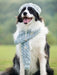 Camisola de Lã e Gorro com Cachecol para Cães (Outono / Inverno) - PetDoctors - Loja Online