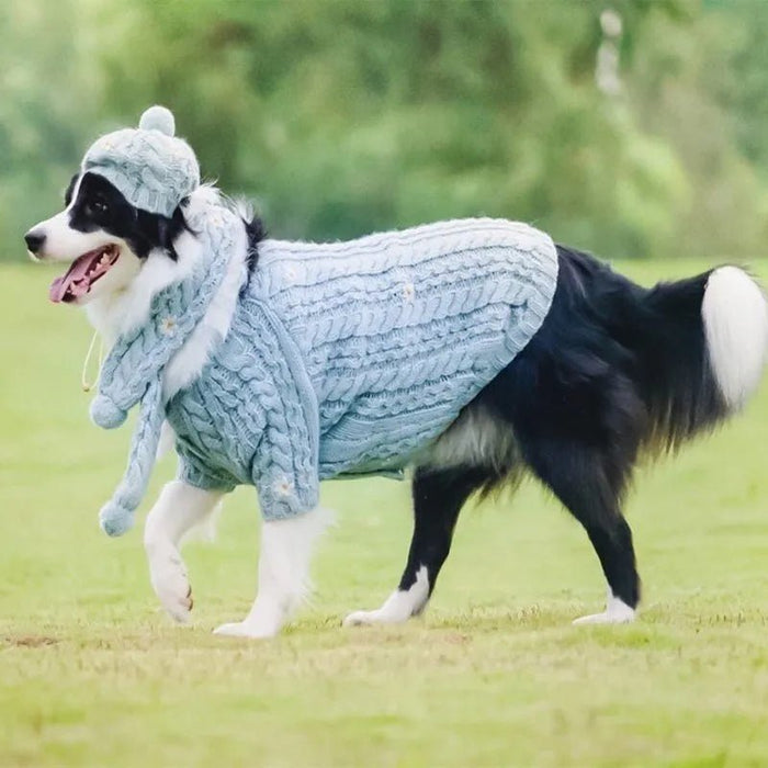 Camisola de Lã e Gorro com Cachecol para Cães (Outono / Inverno) - PetDoctors - Loja Online
