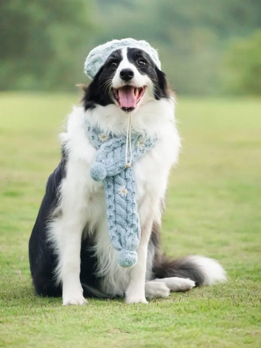 Camisola de Lã e Gorro com Cachecol para Cães (Outono / Inverno) - PetDoctors - Loja Online