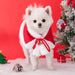 Camisola de Natal para Gatos ou Cães pequenos, Acessórios de Natal, Capa com capuz - PetDoctors - Loja Online