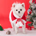 Camisola de Natal para Gatos ou Cães pequenos, Acessórios de Natal, Capa com capuz - PetDoctors - Loja Online