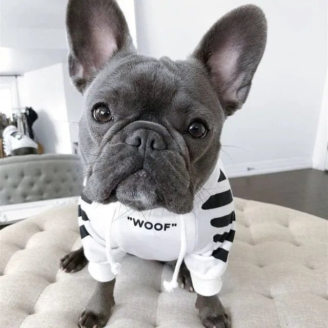 Camisola Desportiva com Capuz para French Bulldog - PetDoctors - Loja Online