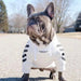 Camisola Desportiva com Capuz para French Bulldog - PetDoctors - Loja Online