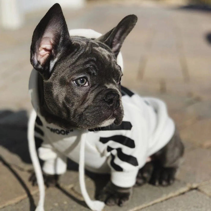 Camisola Desportiva com Capuz para French Bulldog - PetDoctors - Loja Online