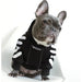 Camisola Desportiva com Capuz para French Bulldog - PetDoctors - Loja Online