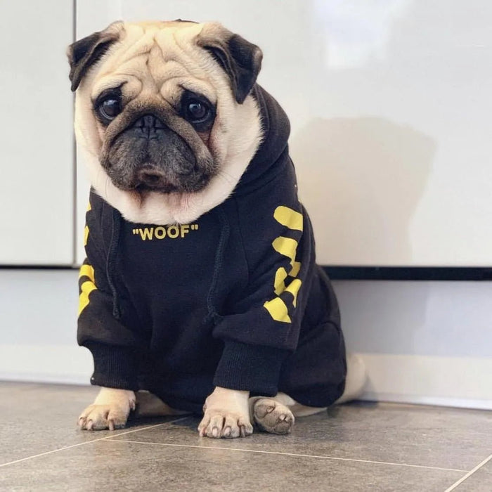 Camisola Desportiva com Capuz para French Bulldog - PetDoctors - Loja Online