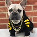 Camisola Desportiva com Capuz para French Bulldog - PetDoctors - Loja Online