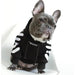 Camisola Desportiva com Capuz para French Bulldog - PetDoctors - Loja Online