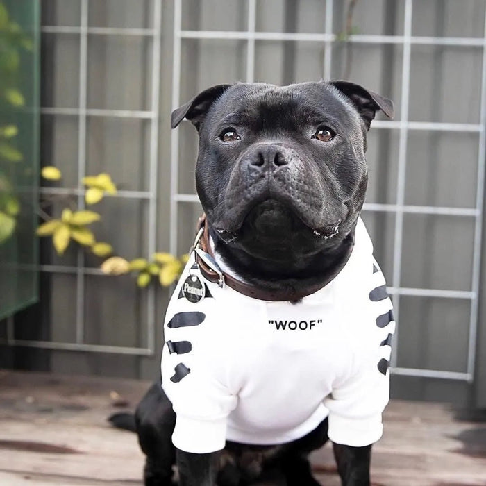 Camisola Desportiva com Capuz para French Bulldog - PetDoctors - Loja Online