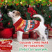 Camisola para Cão, Motivos de Natal - PetDoctors - Loja Online