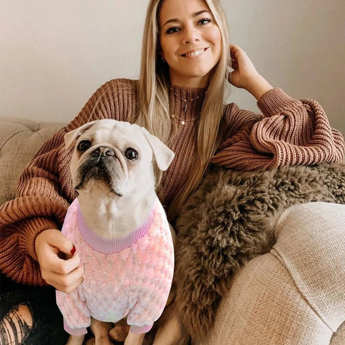Camisola para Gato ou Cão Pequeno / Miniatura - PetDoctors - Loja Online