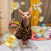 Camisola para gatos (Sphynx ou outros) - PetDoctors - Loja Online