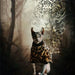 Camisola para gatos (Sphynx ou outros) - PetDoctors - Loja Online