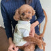 Camisola Tipo Pull - Over para Cães de Raças Pequenas e Médias - PetDoctors - Loja Online