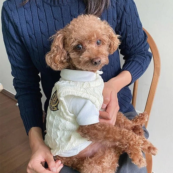 Camisola Tipo Pull - Over para Cães de Raças Pequenas e Médias - PetDoctors - Loja Online
