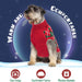 Camisolas de Natal para cães e gatinhos - PetDoctors - Loja Online