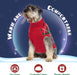 Camisolas de Natal para cães e gatinhos - PetDoctors - Loja Online