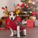 Camisolas de Natal para cães e gatinhos - PetDoctors - Loja Online