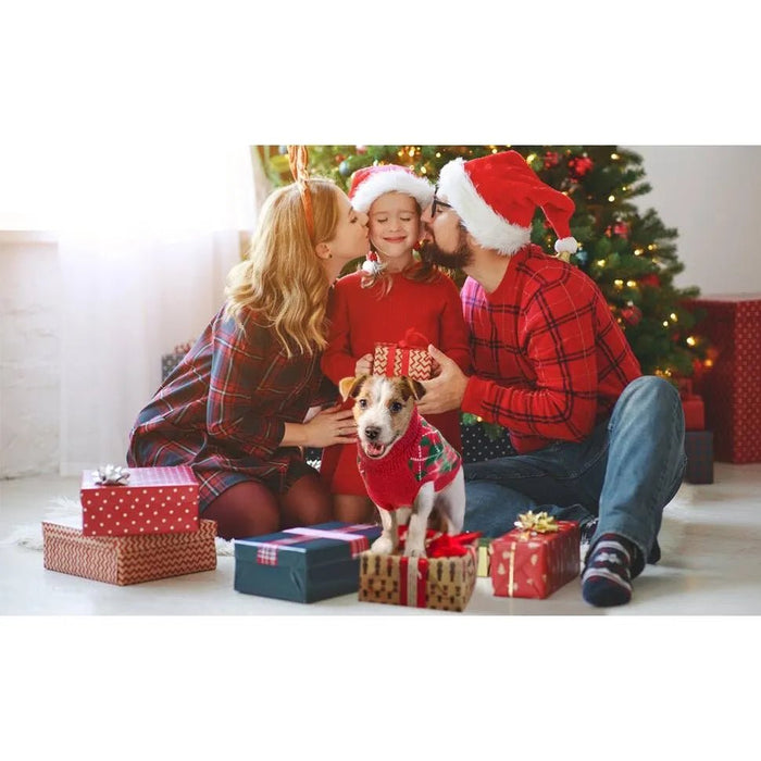 Camisolas de Natal para cães e gatinhos - PetDoctors - Loja Online
