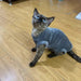 Camisolas Quentinhas e Macias para Gatos - PetDoctors - Loja Online