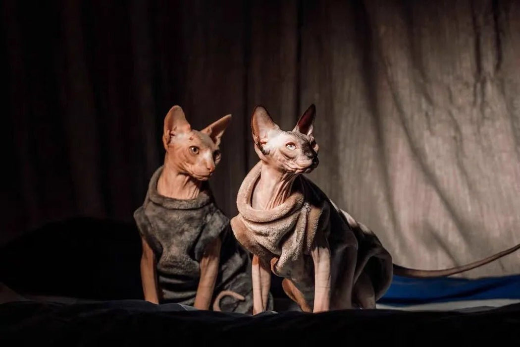 Camisolas Quentinhas e Macias para Gatos - PetDoctors - Loja Online