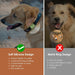 Capa Adaptadora para GPS Airtag para coleira de Cão ou Gato - PetDoctors - Loja Online